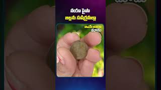 నయా పైసా బిల్లను సుషిర్రనుల్లా #funnyvideos#funnyideas#factsintelugu#factshorts#innovativetips