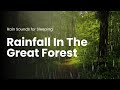 Rainfall In The Great Forest | Rain Sounds for Sleeping