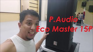 P Audio ECO master 915P | quick look