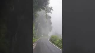 Beauty of Kodaikanal........ ‌    இயற்கையின் அழகு.......