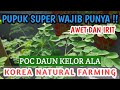 PUPUK SUPER !! MEMBUAT POC DAUN KELOR DENGAN TEKNIK KNF (KOREA NATURAL FARMING) II FPJ KNF