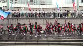 ハマこい踊り炎舞２０１２－子鳩子兎　横浜百姫隊