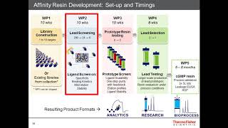 Enabling Custom Solutions for Downstream Processing for Future Therapies: AAV Case Study