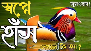 স্বপ্নে হাঁস দেখলে কি হয় | sopne has dekhle ki hoy |