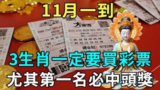 發財了發財了！11月一到，財運到！這3大生肖，發財第一名，偏財運極佳！投資有回報！買彩票中大獎，一夜暴富！乞丐也能變富翁！ |禪悟修心 #生肖運勢 #佛學 #國學