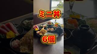 【足利市】まぐろ加一💚ミニ丼が6個もついた豪華ランチがすごすぎる🐟上トロ握りはシャリが大きくボリュームあり🤤👏ドリンク、ソフトクリームも食べ飲み放題😌✌️メニュも多めだよ😊