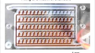 Phaseguides as Tunable Passive Microvalves for Liquid Routing in Complex Microfluidic Networks