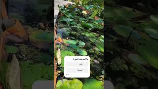 اما اروع القران و ما اجمل ان تسمع ترتيله و تجويده #القرآن_الكريم #المصحف #اكسبلور #اكسبلورهاشتاقات