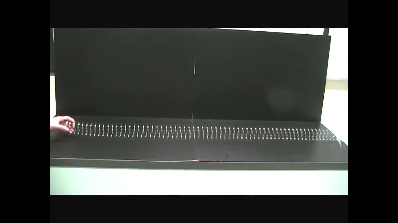 Longitudinal Wave Slinky