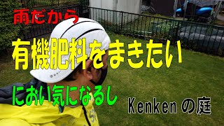 【Vol28】芝生を再生したい！雑草だらけで10年間メンテナンスしなかった芝生の再生物語。におい気になる有機肥料は雨の日に？