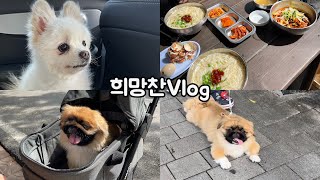 [희망찬Vlog] 담양 국수거리, 관방제림 나들이🌿 / 담양 애견동반여행