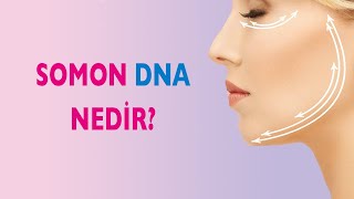 Somon DNA Nedir? Somon DNA Nasıl Uygulanır?