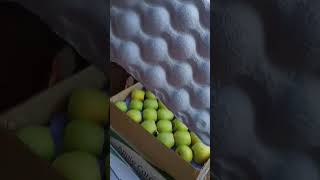 kashmiri apple fruit Mandi nowdal tral.kullu,golden delicious newly established fruit Mandi