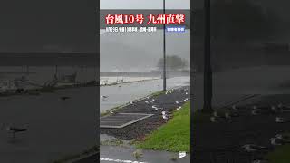 【もっといた】鳥たちが強風に耐える？　台風10号/宮崎県延岡市　#shorts