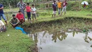 ছোট পুকুর থেকে ছোট মাছ শিকার 🐠🐠🐠