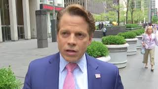 Scaramucci: Trump Needs to 'Assess The Damage'