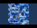Walking Tune (arr. B.P. Ould for flute and piano)