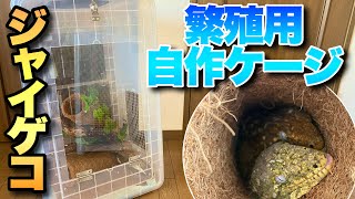 【自己流】ジャイアントゲッコー繁殖の為の自作ケージをご紹介！