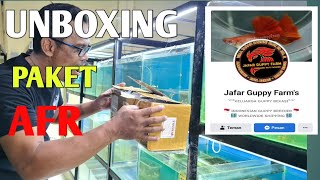 Beli AFR di Jafar Guppy Farm - Cara penanganan ikan datang