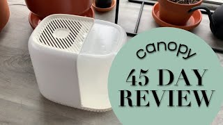 Canopy Humidifier - Review \u0026 Experience After 45 Days