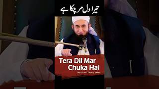 Tera Dil Mar Chuka Hai by Molana Tariq Jameel #molanatariqjameel #tariqjameelstatus #viral