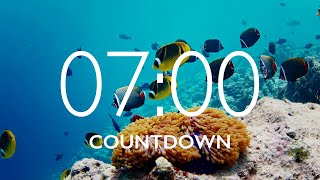 7 Minute Timer with Relaxing Music and Alarm 🎵 ⏰