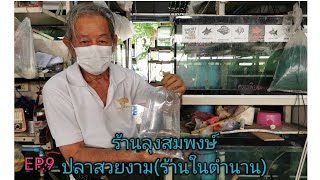 ร้านลุง​สมพงษ์​ ปลาสวยงาม​ (ร้านในตำนาน)​🐟Ep.9