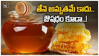 తేనె అమృతమే కాదు..ఔషదం కూడా.! | Best Health Benefits with Honey | 10TV