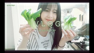 [VLOG] 안나샤와 하루를 16 _ 볶음쌀국수 요리해 먹기 (Anna_Cha/일상/요리/느리게먹기)