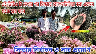 হাতে কলমে শিখেনিন কি ভাবে ঘেঁষে বা সিন্ডারে বোগেনভিলিয়া করবেন/একটাও দামি গাছ মরবে না/Plantcare tips