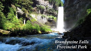 Brandywine Falls Provincial Park \u0026 Whistler Bungee Bridge