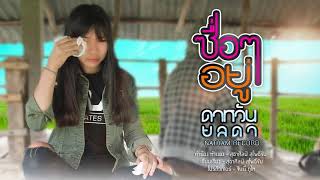 ซื่อๆอยู่ - ดาหวัน ยลดา นาทาม 【AUDIO】