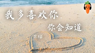 我多喜欢你，你会知道 - 苏琛「超高无损音質」 ♪【動態歌詞/Lyrics】♪