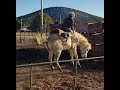 Johnny and Gandalf the white | 1st saddle part 2 | Training in round pin