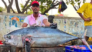 KASIMEDU 🔥 SANKAR BHAI | BIG TUNA FISH CUTTING VIDEO | IN KASIMEDU | FF CUTTING 🔪