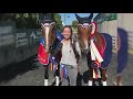 Seattle woman to groom for Team USA's horses during Olympic games in Tokyo