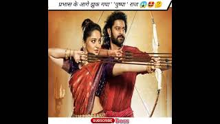 प्रभास के आगे झुक गया ' पुष्पा ' राज। Radheshyam movie 1st day box office collection। Prabhas।FBoss।