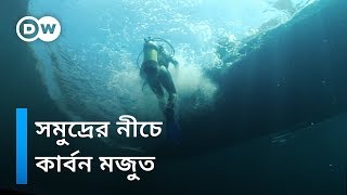 সাগরের নীচে কার্বন মজুত