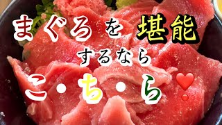 ねっとり激ウマ😍まぐろレストラン！Tuna restaurant!【三重県四日市市Yokkaichi-shi, M IE】まぐろ料理の専門店✨マグロ好きには堪らん❤️