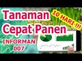 10 jenis tanaman paling cepat panen Dan mudah dibudidayakan, 10 HARI LANGSUNG PANEN !!!!