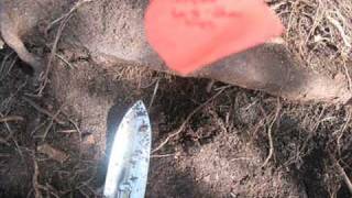 Casey Anthony / PHOTOS: 2/18: Discovery released in Casey Anthony case