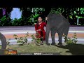 ஆஸ்கரை வென்ற ரகு அம்முவின் பாசம் the elephant whisperers oscar kartikigonsalves newstamil24x7