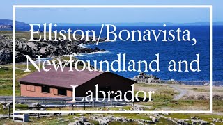 Bonavista/Elliston, Newfoundland and Labrador  CANADA 🇨🇦  #ExploreNL #ILOVENL #explorecanada #huawei