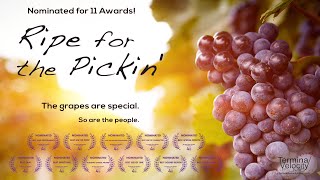 Ripe for the Pickin' - Trailer