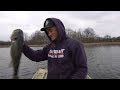 big swimbait insanity 25lbs for 5 giant minnesota bass