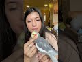 asking yums for scritches bird parrot cockatiel