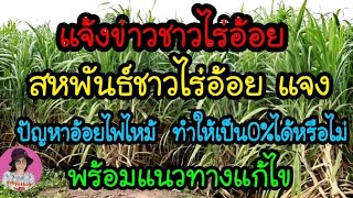 ด่วน!สหพันธ์ชาวไร่อ้อย แจง ปัญหาอ้อยไฟไหม้ ทำให้เป็น 0%ได้หรือไม่