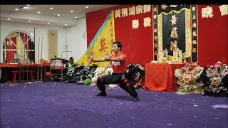 武。狮 。《洪家拳》 Hung Gar Kung Fu