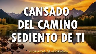 PODEROSAS CANCIONES CRISTIANAS PARA LIBERAR TU MENTE Y EL CORAZÓN 💖PARA SENTIR LA PRESENCIA DE DIOS