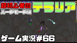 Switch　スイッチ版　【テラリア】　ゲーム実況＃６６　初心者　ハードモード編